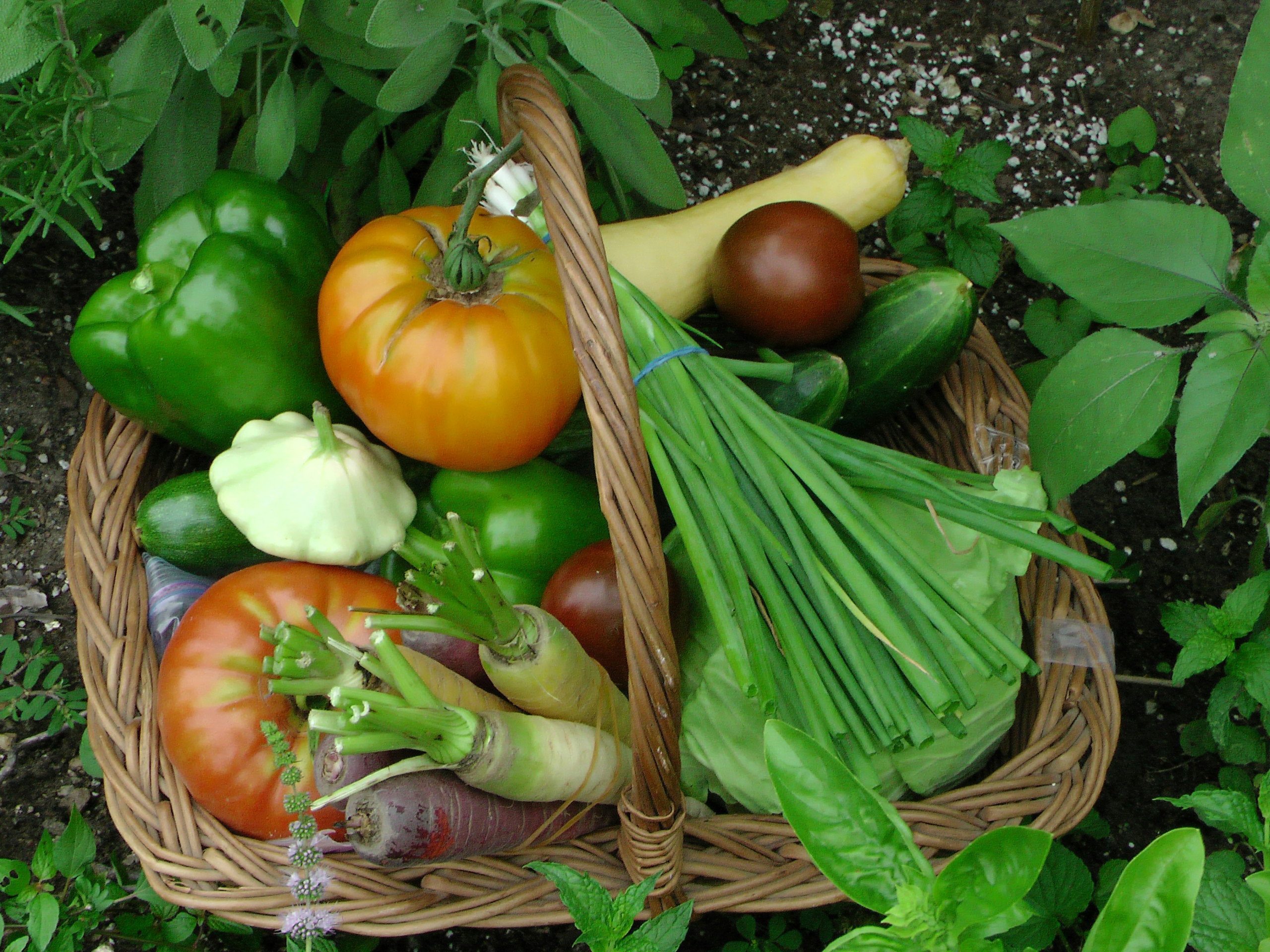 5 Nutrition Lessons from the Past That Still Matter Today